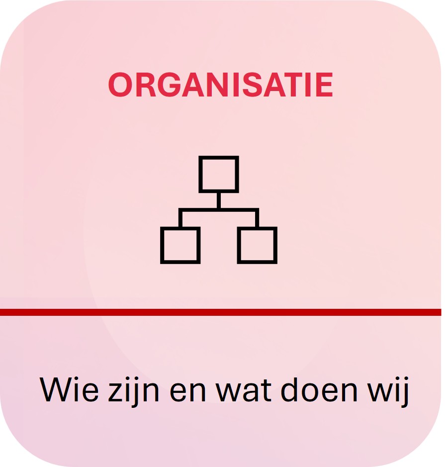 organisatie